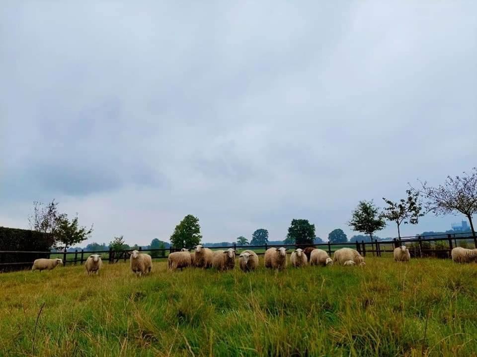 De Beredoezen - Sfeervolle Vakantiewoning In De Gezellige Kempen 레티에 외부 사진